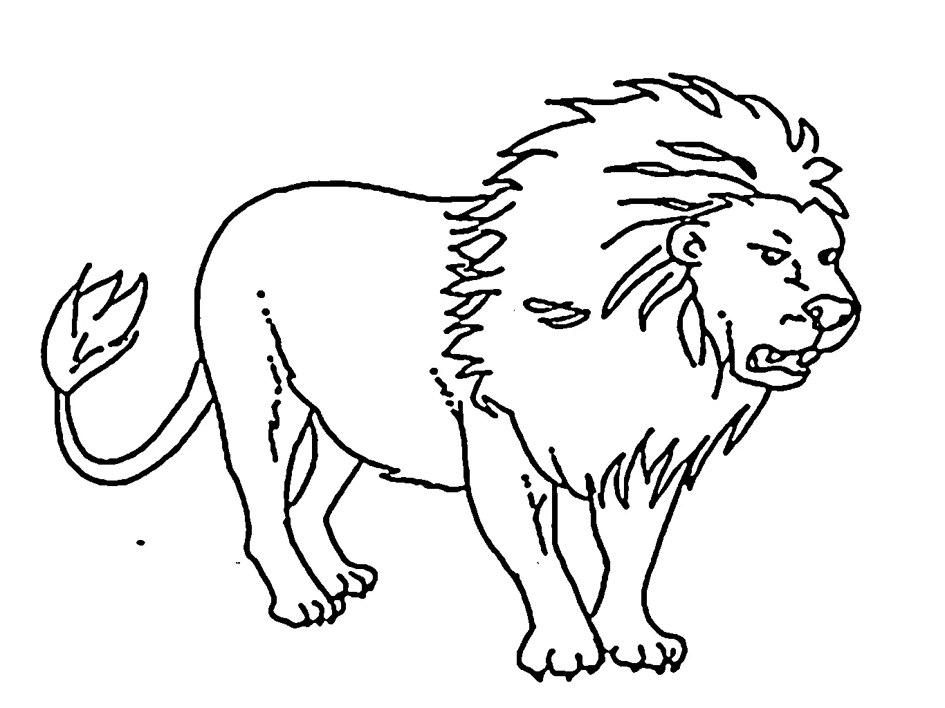 singa Black and white pictures coloring book 018